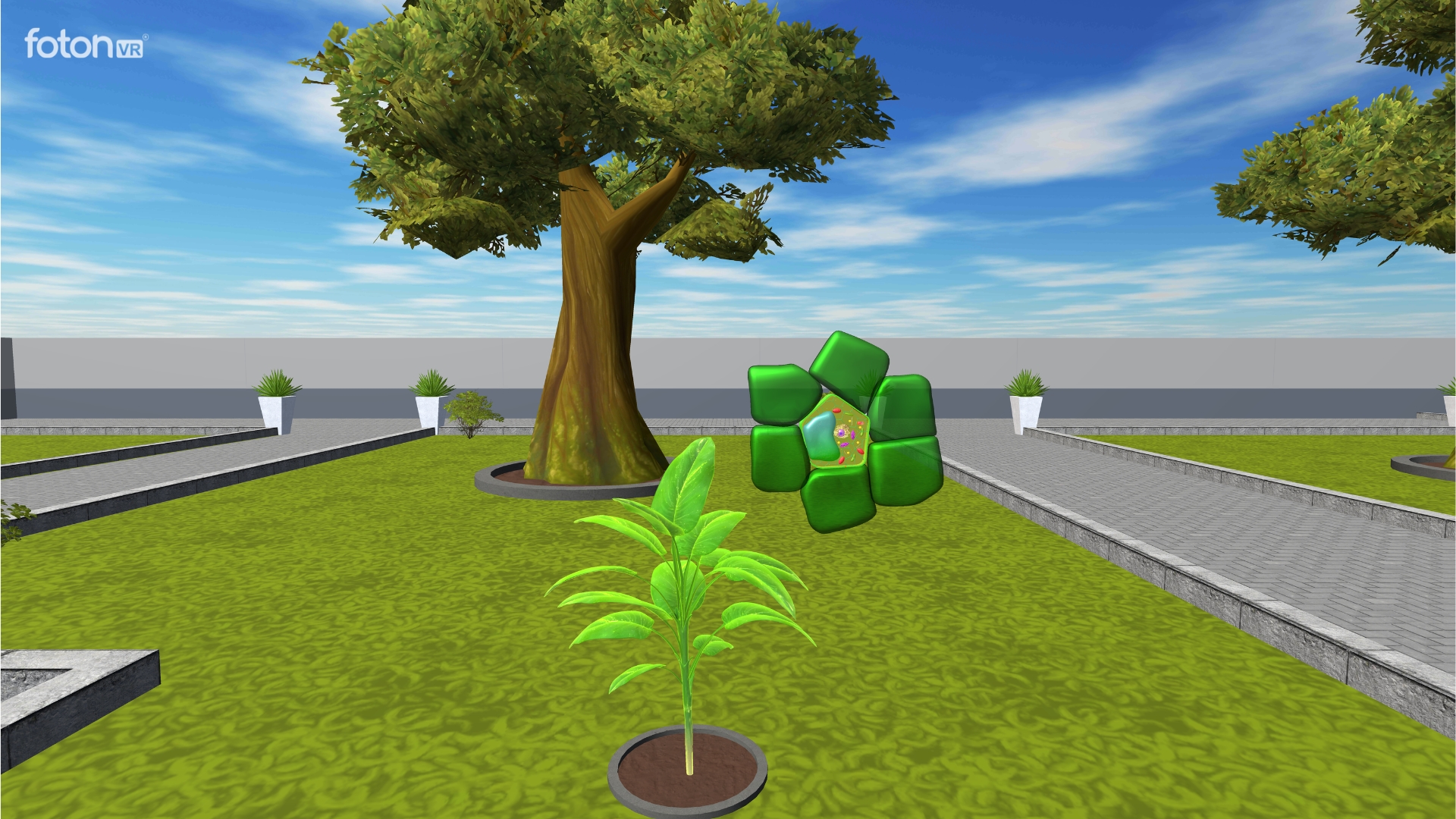 Environmental studies VR learning